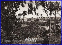 1925 Vintage GAZA Garden Palm Architecture Landscape ISRAEL Palestine Religion
