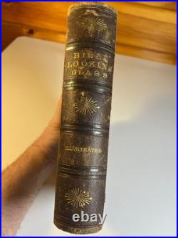 Antique 1874 Bible Looking Glass Illustrated Religious Emblems Leather Gilt AEG