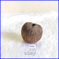 Antique Islamic Coco De Mer Seed Original Old Religious Collectible W996