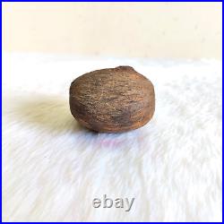 Antique Islamic Coco De Mer Seed Original Old Religious Collectible W996