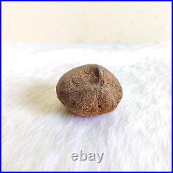 Antique Islamic Coco De Mer Seed Original Old Religious Collectible W996