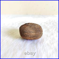 Antique Islamic Coco De Mer Seed Original Old Religious Collectible W996