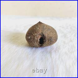 Antique Islamic Coco De Mer Seed Original Old Religious Collectible W996