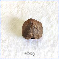 Antique Islamic Coco De Mer Seed Original Old Religious Collectible W996