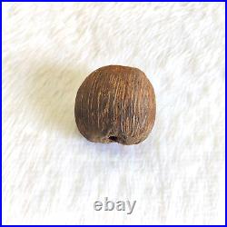 Antique Islamic Coco De Mer Seed Original Old Religious Collectible W996