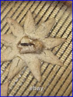 Antique Official Sealed Catholic Religious Relic of Saint Francis Of Borgia