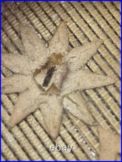 Antique Official Sealed Catholic Religious Relic of Saint Francis Of Borgia