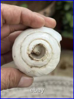 Antique Old Religious Hindu Pooja Rare Vishnu Sankha Rare