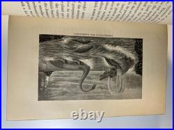 Antique Victorian Book Work-Days of God Morris Religious Science Bible Leather