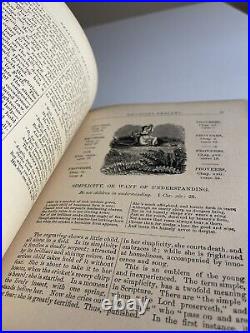 Antique Victorian The Bible Looking Glass Religious Book 1898 Illustrated Rare