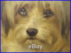 Huge 1905 Century English Terrier Dog Portrait Fluffkins Antique Signed