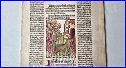 Incunabula 1495 Jezus enters Jeruzalem, hand-colored woodcut, old Bible