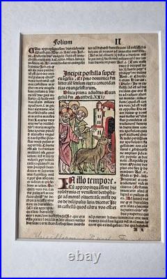 Incunabula 1495 Jezus enters Jeruzalem, hand-colored woodcut, old Bible