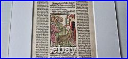 Incunabula 1495 Jezus enters Jeruzalem, hand-colored woodcut, old Bible