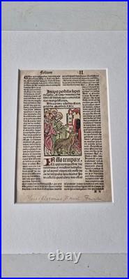 Incunabula 1495 Jezus enters Jeruzalem, hand-colored woodcut, old Bible