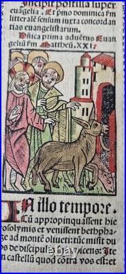 Incunabula 1495 Jezus enters Jeruzalem, hand-colored woodcut, old Bible