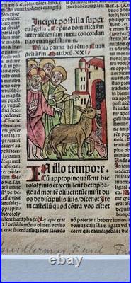Incunabula 1495 Jezus enters Jeruzalem, hand-colored woodcut, old Bible