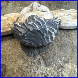 RARE Vintage Carved Wood Religious Antique Finished Cherub with Glass Eyes