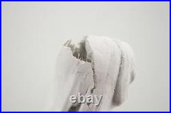 SEE NOTES Glitzhome GH50521 Blessed Mother Mary Religious Garden Statue 31 Inch